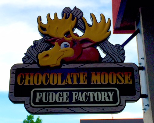chocolate moose