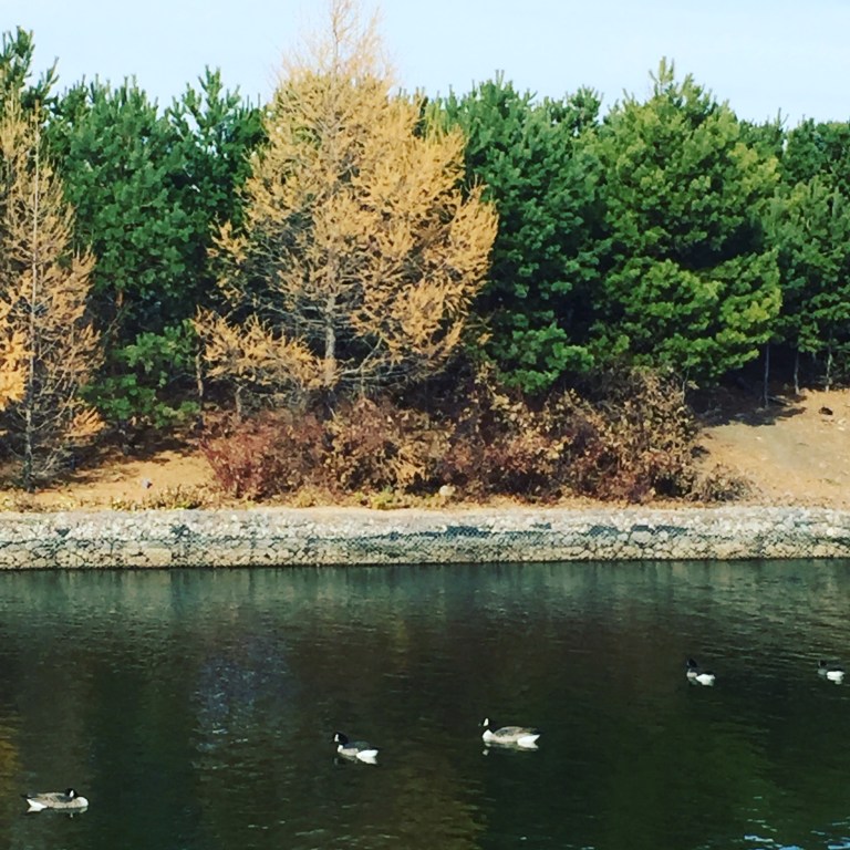 069B2256-B958-4C0D-AD97-01A09E34C121