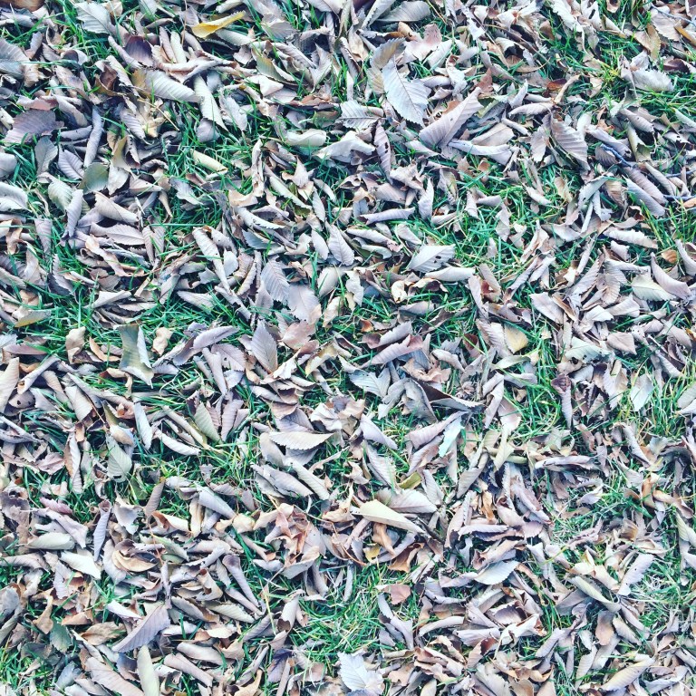 1649E339-0851-4DBB-BB94-F393BF3AA4F6