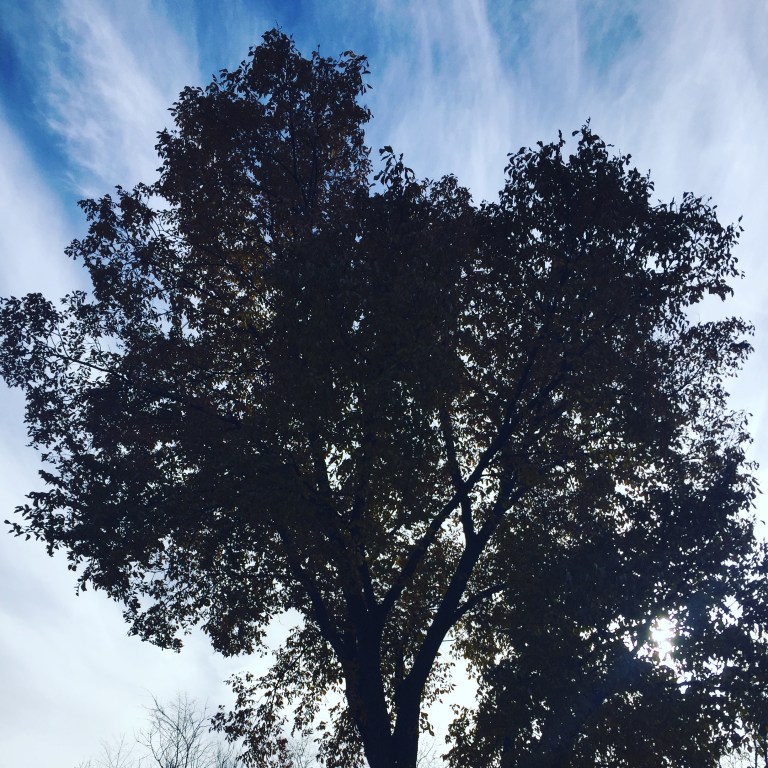 3B914872-D7CE-4B88-AC4A-A894BBE1E17E