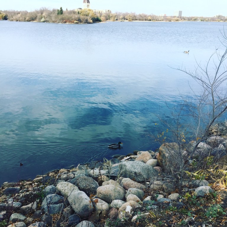 4AF64808-10B1-4B0C-AF3A-62934A0C3392