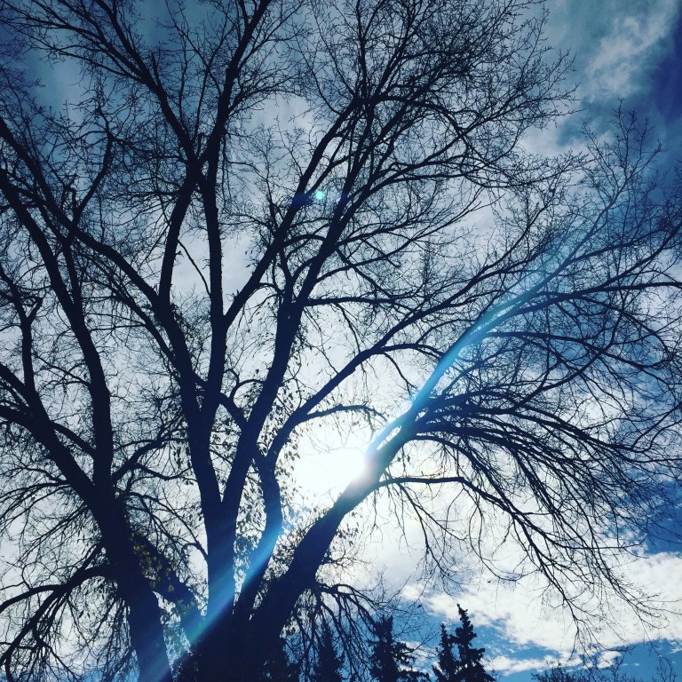 6753B828-D765-4BF2-94BC-56914B2F6D95