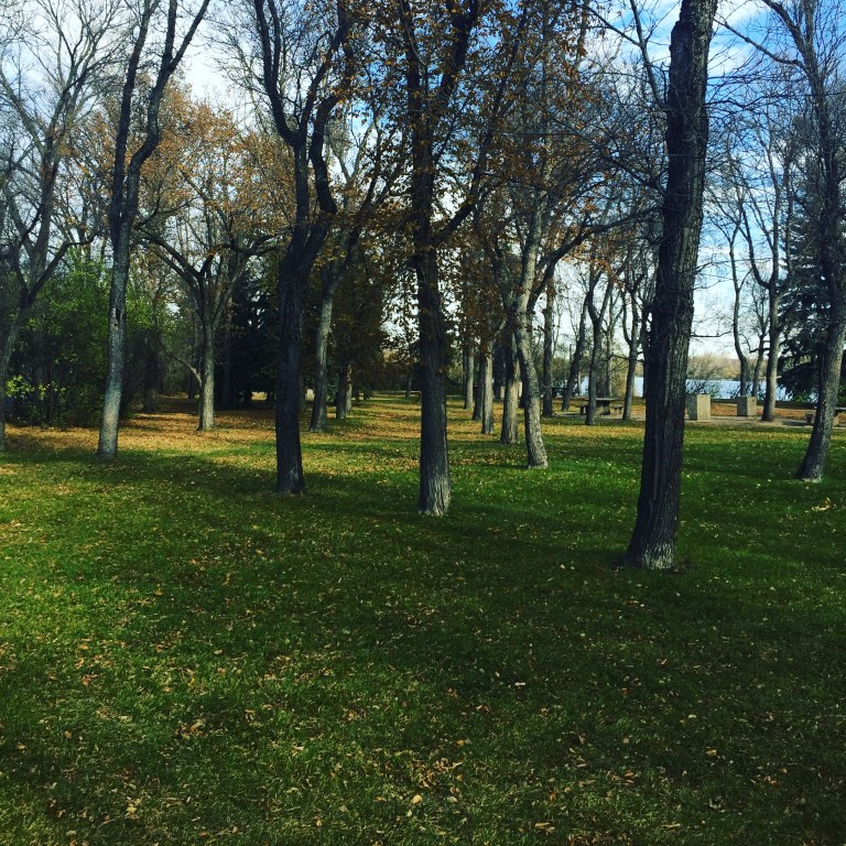 CF7E0446-52B4-4AF7-84D1-473E5B111439